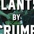 Plants By Crumb The Sinclair