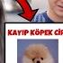 KÖPEĞİMİZ KAYBOLDU Bulana 100 000 TL Ödül Dolandırıldık