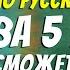 Школьный тест по русскому языку для учеников 5 класса На сколько вы хорошо помните уроки Botanya