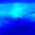 Animal Sounds Blue Whale Rumbling