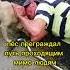 Собака спасла своего хозяина