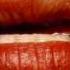 Your Arse My Place Elastica
