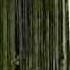 Shadows Fall Redemption Official Video
