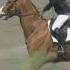 Class 38 Kay Christine Riding Sanletto
