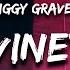 Diggy Graves Red Vineyard Lyrics I Think I M Seeing Ghosts Again