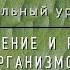 Биология 10 кл Проф уровень 39 Формы размножения организмов