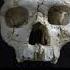 Oldest Murder Victim