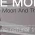 Depeche Mode 15 The Sun And The Moon And The Stars Bonus Track 432hz 423hz