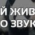 КВИЗ УГАДАЙ ЖИВОТНОЕ ПО ЗВУКУ