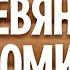 Как попасть в деревянный домик Весталия АннаШихова школасорадение