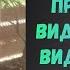 УНИКАЛЬНОЕ СВИДЕТЕЛЬСТВО Бывший преступник видел демонов и был спасен Иисусом Ираклий Чантурия