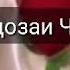Медони ки Чи кадар дустат медорам