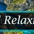 1 Hour Wonderful Relaxing Music Classical Serenade Pachelbel Vibes Music