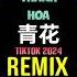 青花 恍恍惚惚 已经隔世 DJ抖音版2024 Thanh Hoa Remix Tiktok Hot Tiktok Douyin