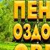 Пение Лесных Птиц Благоприятно Действует На Весь Организм И Оздоравливает Его