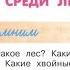 Окружающий мир 4 класс ч 1 тема урока Среди лесов с 86 89 Перспектива