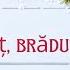 Brăduleț Brăduț Drăguț Cântece De Iarnă Pentru Copii