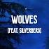 Sam Tinnesz X KAAZE Wolves Feat Silverberg Official Lyric Video