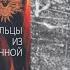 ПРИШЕЛЬЦЫ ИЗ ВСЕЛЕННОЙ КОСМИЧЕСКИЕ СЛЕДЫ НАХОДКИ ОТКРЫТИЯ ФЕНОМЕНЫ Эрих фон Дэникен Аудиокнига