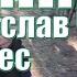 Богиня Вячеслав Чен Пою Бобриням на лесозаготовке Белгородчина 9 мая 2024г