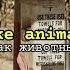 Maroon 5 Animals Lyrics Rus Sub