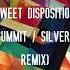 The Temper Trap Sweet Disposition John Summit Silver Panda Remix Slowed Reverb