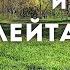 ХЭНДПАН Слияние С Природой Ханг Светлая Позитивная Музыка Для Души Музыка Для Медитации