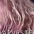 Metallica Harvester Of Sorrow Guitar Backing Track W Original Vocals