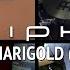 PERIPHERY Marigold Cover By Lauren Babic Werner Erkelens Michael Avery Thomas Diognardi