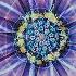 Introduction To Drunvalo Melchizedek And The Flower Of Life