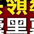 981健康計畫 輸血 換器官 進軍150歲 高壽達正常人兩倍年齡 金人慶之死 意外驚爆中共元老們退休後的 合法腐敗 77歲去世已算短命 新唐人電視台