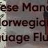 Norwegian Chinese And Russian Language Fluency Subliminal