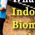 Indonesia S Transition To Biomass Sparks Resistance Can Bioenergy Work Power To The People