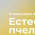 КОНФЕРЕНЦИЯ ЕСТЕСТВЕННОЕ ПЧЕЛОВОДСТВО 2019 ДЕНЬ ВТОРОЙ