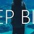 1 HOUR William Black Deep Blue Lyrics Nurko Remix