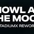 Stadiumx Taylr Renee Howl At The Moon Stadiumx Rework Official Lyric Video