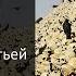4 апреля 2022 переломная дата в войне Путина с Украиной