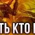 КТО ЕСТЬ КТО в мире Warhammer