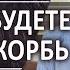 157 В мире будете иметь скорбь Алексей Осокин Библия 365