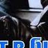 Адриано Челентано Я тебя люблю Ya Tebya Liubliu