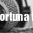 Fariz Fortuna Doveli Feat Dj Davo 2