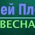 Алексей Плещеев Весна