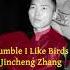 Jincheng Zhang Lease I Like Birds Official Instrumental Background Music