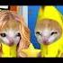 ASTRONAUT BANANA CAT P 1 Bananacat Happycat Happycatfunny