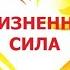 Система Александра Фролова оздоровление организма и укрепление нервной системы