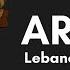 ARAYES LEBANESE FOOD LEBANESE CUISINE MIDDLE EASTERN FLAT BREAD