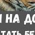 Картины на досках Печать без УФ принтера Переводные рисунки на дерево