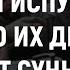 ШИИТЫ испугались за ДРУГА что он СТАНЕТ СУННИТОМ Брат Шамси ABILOV RAMIN шиизм сунна