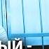 Навальный политический педофил