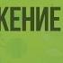 Вегетативное размножение Видеоурок по биологии 6 класс